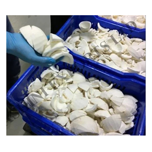 แถบมะพร้าวอ่อนแช่แข็งนุ่มสดชื่นส่วนผสมที่เหมาะสำหรับขนมหวานสูตรมังสวิรัติสมูทตี้และเมนูอาหาร - Product Image 2