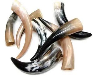 Corne à boire de buffle fabriquée à la main écologique de qualité supérieure Buffalo Viking Corne à boire Design élégant - Product Image 3