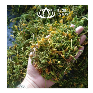 Fleurs de papaye mâles séchées de haute qualité au Viet Nam pour infuser du thé qui favorise la digestion et le bien-être général - Product Image 1