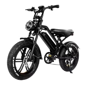 Bicicleta Eléctrica de Montaña de Alta Calidad 2024, Modelo V20 3.0, 20 Pulgadas, 250W/750W/1000W, Neumáticos Anchos, Disponible en Almacén de la UE - Product Image 1