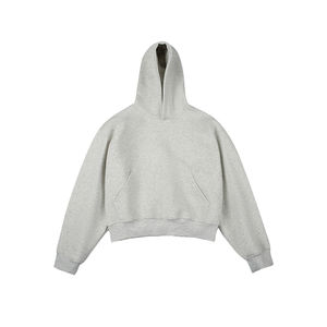 Diseño personalizado 500gsm Heavy Oversized Hoodie Hip Hop en blanco Hombres Algodón 100% Hoodie Heavy Thick Heavyweight Hoodie - Product Image 2