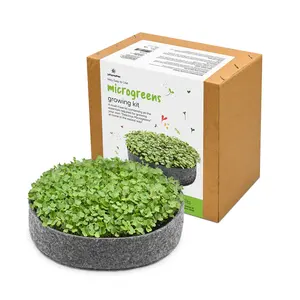 Kit berkebun dalam ruangan kustom 2023 baki microhijau plastik dapat terdegradasi untuk sayuran tanaman hidroponik tumbuh untuk pembibitan