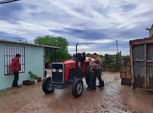 Meilleur fournisseur de tracteurs Massey Ferguson d'occasion originaux 291, tracteurs agricoles Massey Ferguson MF 245 2RM - Product Image 3