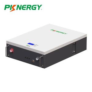 5kWh แบตเตอรี่ลิเธียมพลังงานแสงอาทิตย์ติดผนัง100Ah 48โวลต์ LiFePO4เก็บพลังงานในบ้าน - Product Image 1