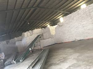 Fécula de Tapioca, producto agrícola de Vietnam, producto de fécula de Tapioca, gran oferta, vacaciones - Product Image 4