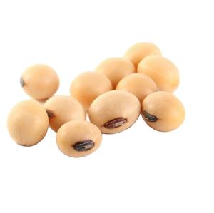 อาหารจำพวกถั่วเหลืองและ18% อาหารสำหรับสัตว์60% กลูเตนข้าวโพดออร์แกนิก - Product Image 1