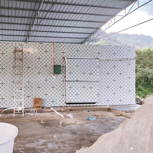 Vente directe usine : Chambre froide conteneurisée, congélateur walk-in, stockage de glace avec porte en panneaux PU pour supermarché - Product Image 4