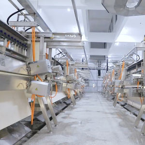 Línea de matanza automática Raniche de alta eficiencia para pollos de engorde, desplumadora de pato a la venta - Product Image 2