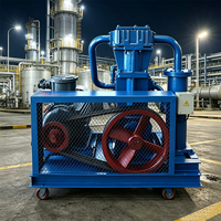 Compresseur d'air silencieux à piston sans huile, refroidi par air, à faible bruit, 380V, pour usage industriel