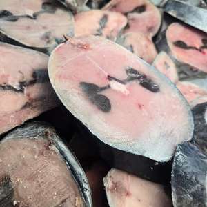 Atún Congelado al por Mayor, Fuente de Proteína Acuática de Primera Calidad - Product Image 4