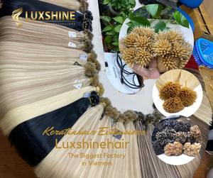 Vietnam Cabello humano 100% Virgen Remy Nano anillo Extensión de cabello de lujo doble dibujado de alta calidad - Product Image 5