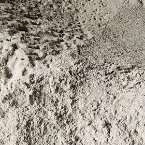 เถ้าลอยเกรดสูง F | วัสดุจากเวียดนาม | วัสดุจำนวนมากสำหรับคอนกรีตที่ทนต่อการกัดกร่อน - Product Image 1