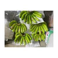 Plátanos Verdes Orgánicos de Calidad de Exportación, Variedad Cavendish, 20 kg, Listos para Cadena de Frío