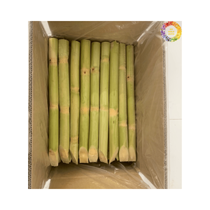 อ้อยแช่แข็งสำหรับน้ำผลไม้พร้อมมาตรฐานส่งออก - Product Image 2