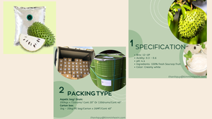 Puré Kim Minh Internacional de Guanábana Congelada sin Azúcar 100% Fresh 12 Brix 20kg Embalaje a Granel Importado de Vietnam - Product Image 5