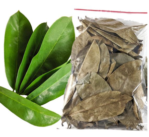Venta al por mayor exclusiva de hojas secas de Guanábana-Grandes descuentos - Product Image 5