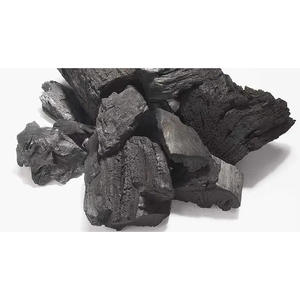 Proveedor de Carbón Vegetal de Madera Dura de Grado Industrial en Empaques a Granel, Exportador de Carbón en Trozos de Larga Duración para Mercados Globales - Product Image 1