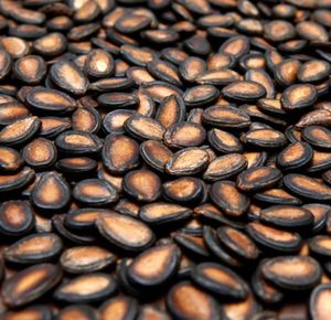 Graines de melon hybride jaune à bas prix - Product Image 3