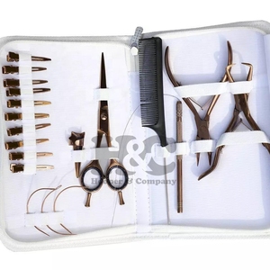 Nouveautés : Kit d'outils pour extensions de cheveux en acier inoxydable or rose – Pinces, clips, aiguilles en C, micro-perles – Usage professionnel - Product Image 1