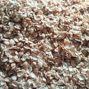 Coquilles de crabe séchées de haute qualité pour l'artisanat, coquilles entières nettoyées, teneur en sel <2%, séchées naturellement, 5kg/carton, prix de gros abordable - Product Image 6