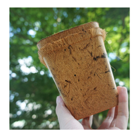 Pot de noix de coco durable Belle jardinière en pot de coco pour fleurs, herbes, légumes, parfait pour la maison, le jardin, l'intérieur et l'extérieur.