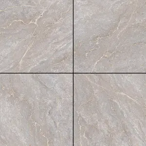 Superb High Quality Tiles In Size Of 600x600mm Having Ceramic Glazed Vitrified Tiles With Glossy Finish Used For School