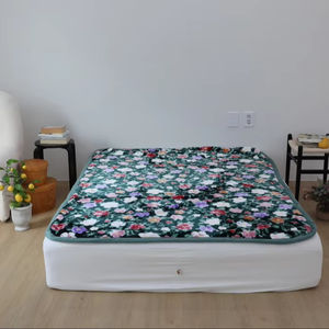 ผ้าห่มไมโครไฟเบอร์ AVAIN ลายมิงค์ สองด้าน ใช้ได้ทั้งสองด้าน ดีไซน์เกาหลี ผลิตด้วยเครื่องจักร เนื้อนุ่ม อบอุ่น น้ำหนักเบา เหมาะสำหรับทุกคน - Product Image 1