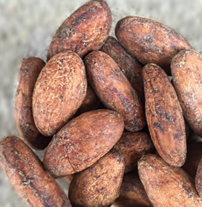 Fèves de cacao de haute qualité, poudre de cacao, beurre de cacao / cacao / fève de chocolat torréfiée, variété Forastero, 25 kg, 8 % max. - Product Image 1