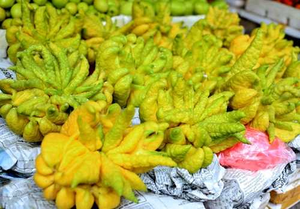 FRUITS DE LA MAIN BOUDDHA AGRUME PREMIUM/ASPECT ET PARFUM/PRIX RAISONNABLE/FABRIQUÉ AU VIETNAM - Product Image 2