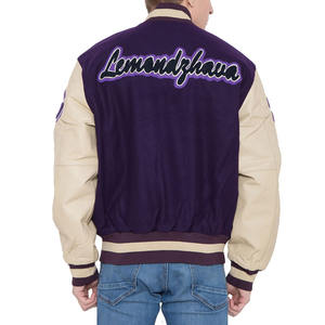 Chaqueta Universitaria Impermeable con Capucha y Logotipo Frontal, Diseño Elegante para Hombres, Mujeres y Jóvenes, en Venta al por Mayor - Product Image 3