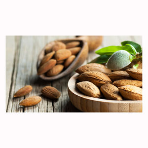 Top Grade Raw Almond <b>Nuts</b> <b>Kernels</b> Organic Low <b>Nuts</b> with Shell High Quality Dried Snack Food Agriculture Bulk Packed - Product Image 1