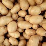 Papas Frescas de Primera Calidad, Tamaños Disponibles de 45 mm y 90 mm para Exportación, Suministro a Granel Directamente de las Granjas, Garantizando la Frescura de Primera Calidad - Product Image 3