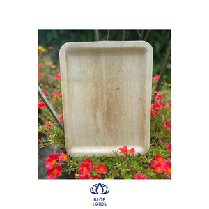 ARECA NATUREL ASSIETTE FEUILLE DE PALMIER PLATS JETABLES Vaisselle BIODÉGRADABLE POUR CUISINE GROS LOTUS BLEU - Product Image 1