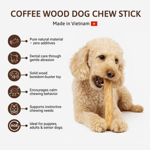 FSC-Juguete masticable ecológico de madera de café natural para perros, juguetes masticables para perros hechos de madera de café, fábrica de Vietnam - Product Image 5