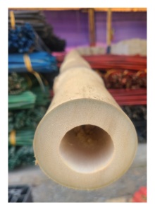 Poste recto de bambú de buena calidad Venta de postes de bambú grandes para construir de Vietnam con el mejor precio - Product Image 4