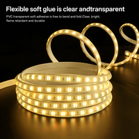 Kit de Bande Lumineuse LED Solaire Bicolore Sans Fil pour Extérieur DC12V 2835 600 LED 2W 200lm IP65 Décoration de Jardin Télécommandée