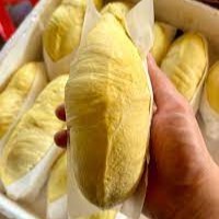 Vers gesneden Durian van topkwaliteit, 0,5 kg, 13,5 cm, Khey Taladthai, met gladde, romige textuur, krachtig aroma, 2-3 weken houdbaarheid, verpakt in doos.