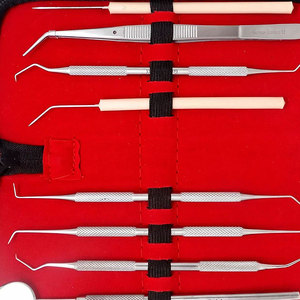 Kit de 8 outils professionnels pour dentiste, sonde de nettoyage buccal en acier inoxydable, outils de nettoyage dentaire, cure-dents dentaires - Product Image 5