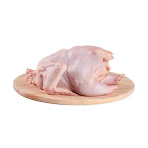 Pieds de poulet entier congelés/halal/pattes de poulet congelées Brésil - Product Image 4