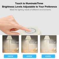 Lampe de chevet sans fil moderne en fer de style nordique en forme de fleur pour la salle d'étude, décoration de la maison, LED rechargeable à piles, simple