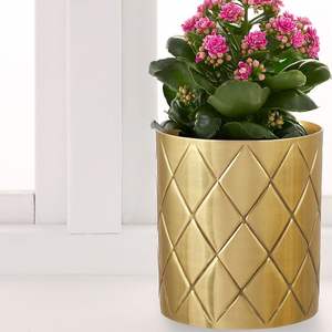 Floreros pequeños de Metal estilo flor para decoración del hogar regalo Flor de hierro costera Mesa moderna florero decorativo de aluminio - Product Image 4