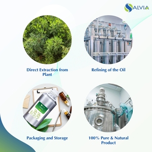 Davana Oil 100% pur et naturel en gros en vrac prix le plus bas emballage personnalisé - Product Image 4