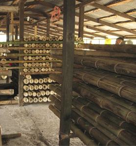 Tubes en bambou de 99 GD Vietnam/produits matériels en bambou cru/poteau en bambou pour cultiver l'agriculture végétale - Product Image 3