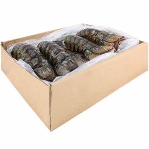All'ingrosso Code di aragosta congelate fresche dal vivo aragosta aragosta in scatola stile per uso alimentare - Product Image 5