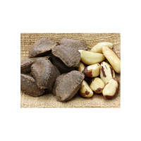Noix du Brésil naturelles décortiquées, mélange de tailles moyennes/grandes/extra grandes, riches en protéines, pour une utilisation saine en cuisine, durée de conservation de 2 ans