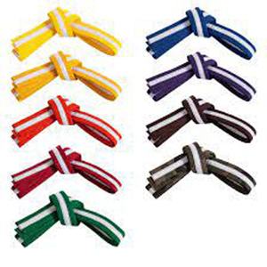 Cinturón de Taekwondo Personalizado con Franjas de Colores, Material de Buena Calidad, Logotipo Propio, Duradero - Product Image 1