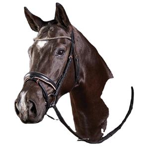 Rose Gold Crystal Flash Bridle - Product Image 1