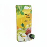 Sac souple BIB en aluminium de qualité alimentaire pour jus de carotte, vin, bière, boissons, 1L, 2L, 3L, avec valve Vitop