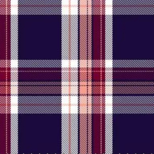 ชุดเดรสผ้าฝ้ายบริสุทธิ์สำหรับเด็กผู้ชายและเด็กผู้หญิงเสื้อผ้าและชุดเดรสผ้าฝ้ายบริสุทธิ์ตรวจสอบสีคราม - Product Image 1