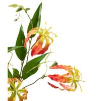 Lebensechte Künstliche Gloriosa-Lilie, Seidenblume für Heim- und Hochzeitsvasen-Arrangements, Dekorative Kunstblumen